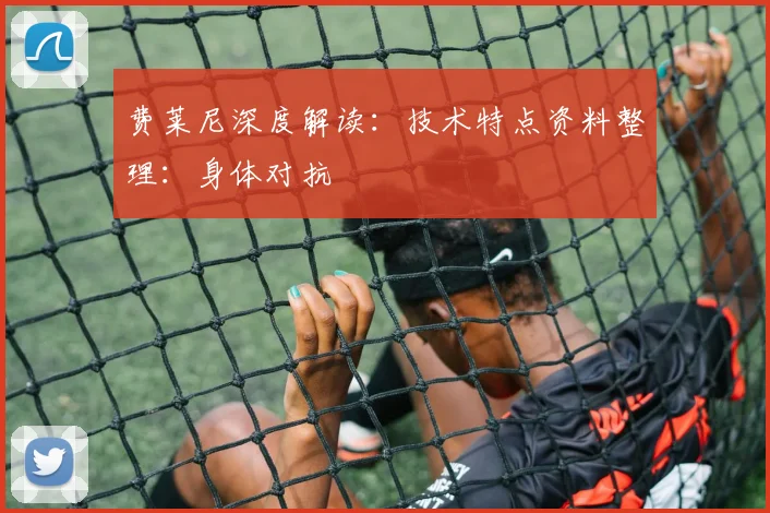 费莱尼深度解读：技术特点资料整理：身体对抗