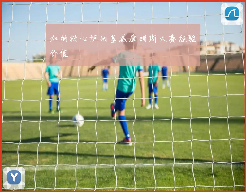 加纳核心伊纳基威廉姆斯大赛经验价值