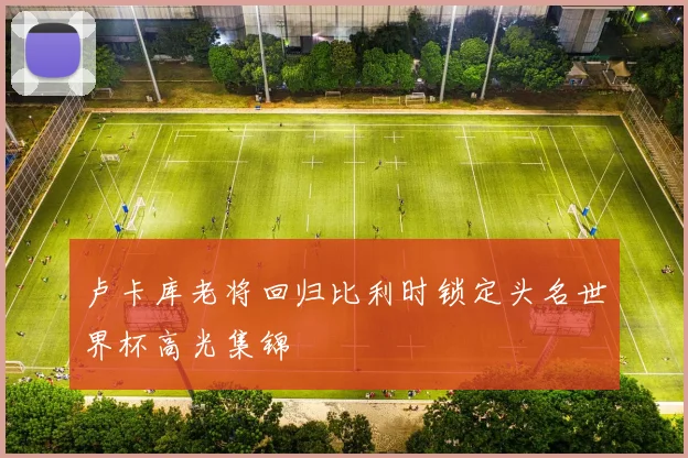 卢卡库老将回归比利时锁定头名世界杯高光集锦
