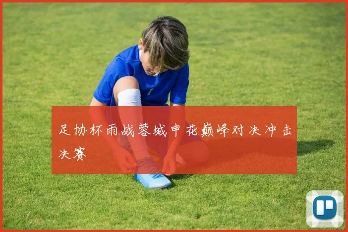足协杯雨战蓉城申花巅峰对决冲击决赛