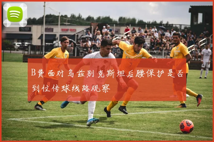 B费面对乌兹别克斯坦后腰保护是否到位传球线路观察