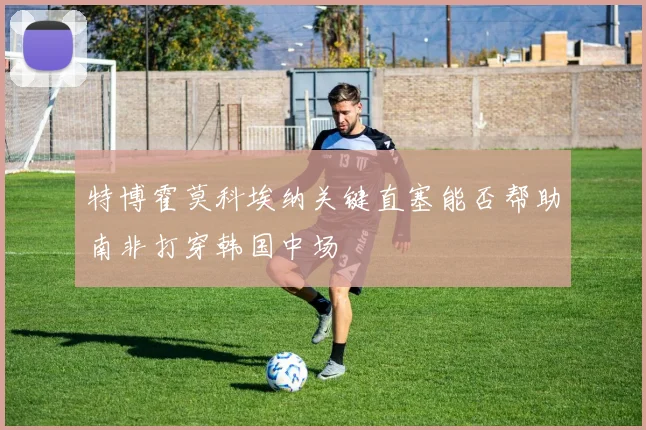 特博霍莫科埃纳关键直塞能否帮助南非打穿韩国中场