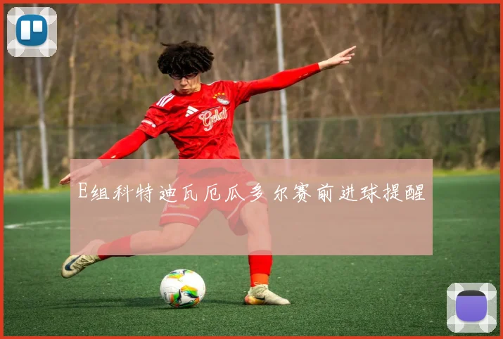 E组科特迪瓦厄瓜多尔赛前进球提醒