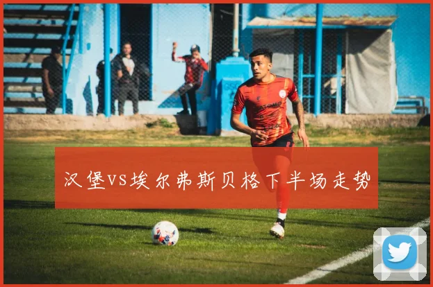 汉堡vs埃尔弗斯贝格下半场走势