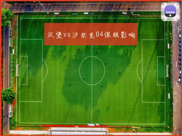 汉堡vs沙尔克04保级影响