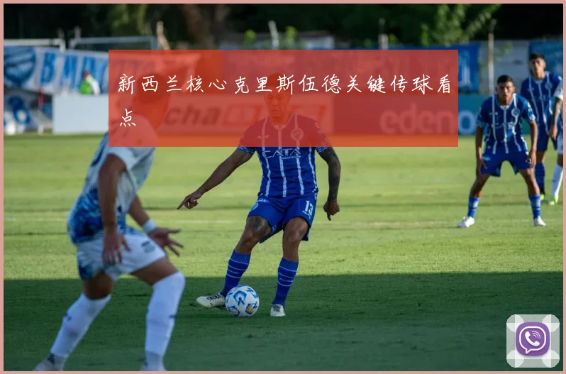 新西兰核心克里斯伍德关键传球看点