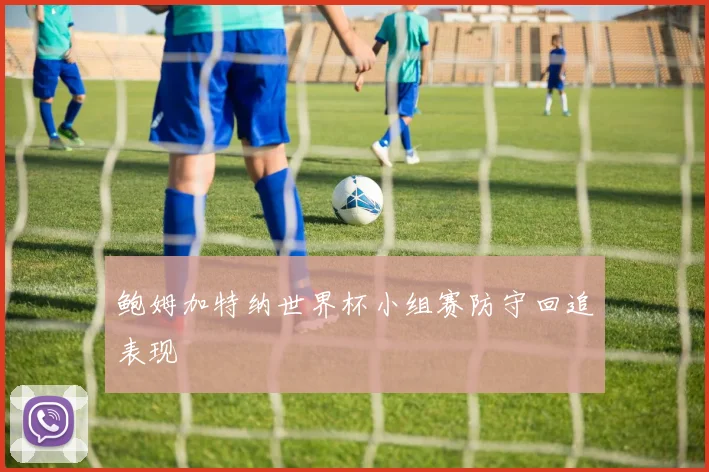 鲍姆加特纳世界杯小组赛防守回追表现