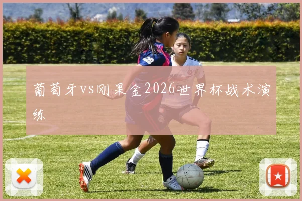 葡萄牙vs刚果金2026世界杯战术演练
