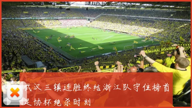武汉三镇连胜终结浙江队守住榜首足协杯绝杀时刻